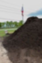 Thumbnail: Black Velvet Mulch