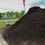 Thumbnail: Black Velvet Mulch
