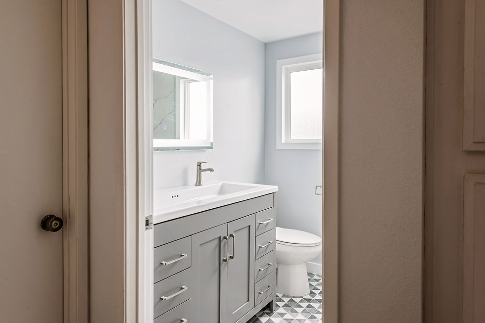 Bathroom hopkins