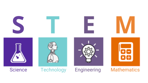 S T E M.png