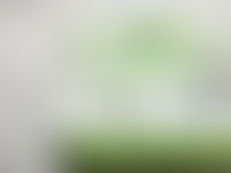 What's in your Lunchbox?