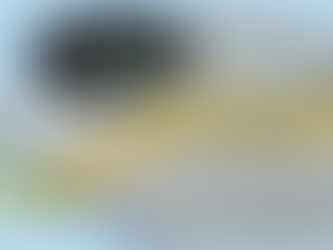 What does the Scale tell you?