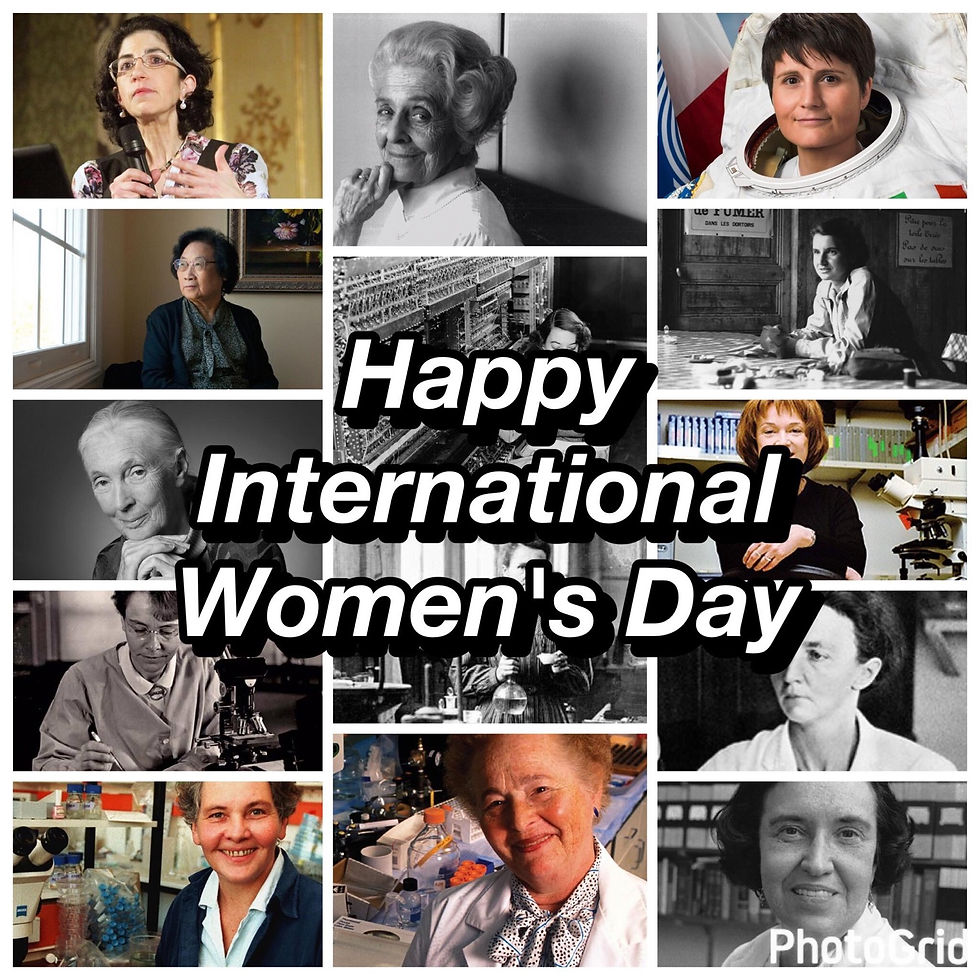 La scienza della disuguaglianza - il peso di 1000 piume