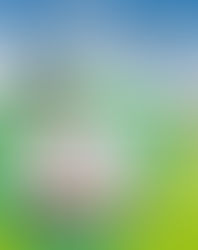 Complete First for schools. B2 - Student’s book