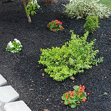 20220715_140530_edited.jpg