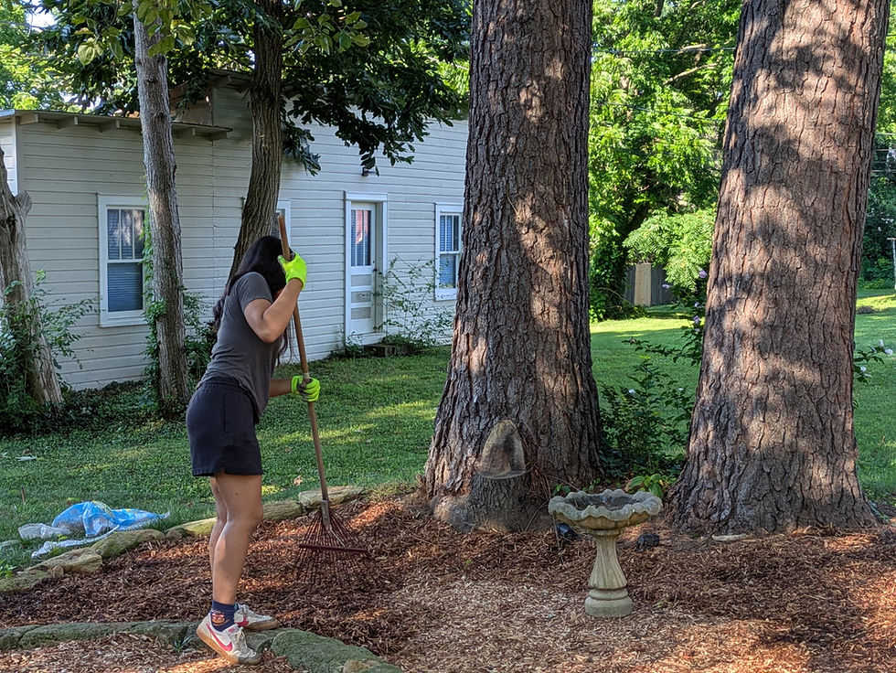 Raking out the beds