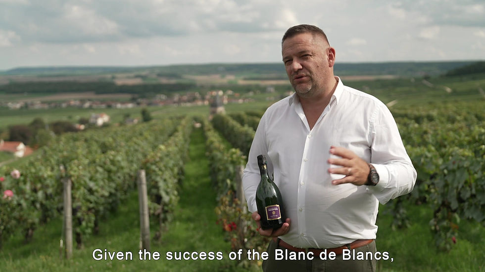 Thumbnail: Blanc de Noirs, Brut, Champagne Jeeper