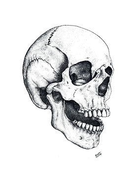 CALAVERA FELIZ_edited.jpg