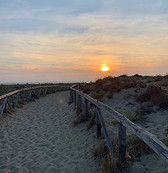 Spiaggia di Torre del Lago con dune e flora locale