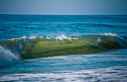 Day145_Riding The Wave_may25