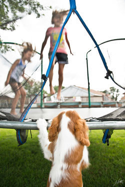 Day180_Can I play_June29