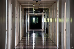 Day156_SHINY CORRIDOR_June5