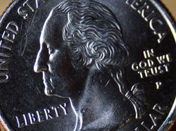 Day 48_Liberty_Feb 17.jpg