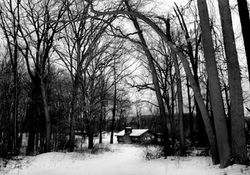 DAY 32_CABIN IN THE WOODS_FEB 1 small.jpg