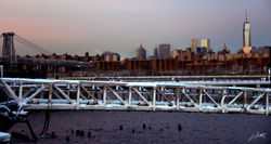Day 35_NYC from Brooklyn_Feb 4 small.jpg