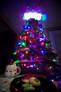 Day358_Cookies for Santa_December24