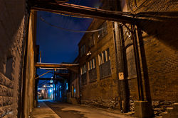 Day175_Spring Way_June24