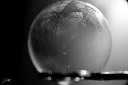 Day 28_Black and White Bubble_Jan 28 small.jpg