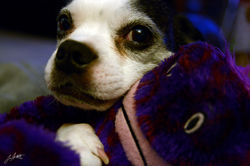 Day 41_Wrigley_Feb 10