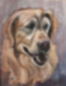 26167383_10155638029848301_9032255258701166010_n.jpg