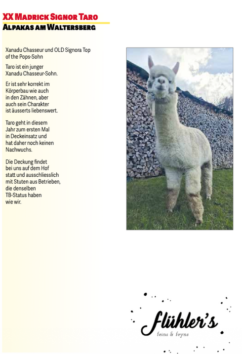 Bildschirmfoto 2026-03-16 um 22.37.19.png