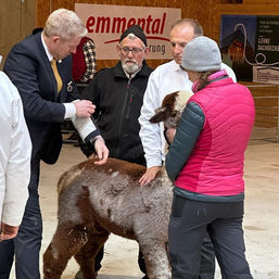 Schau 23 Ring 10.jpeg