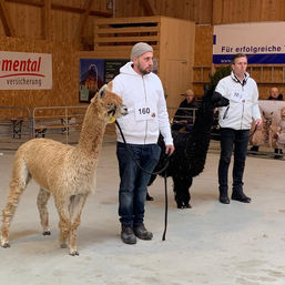 Schau 23 Ring 9.jpeg