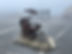 IMG_1465.jpeg
