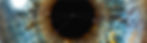 iridologia2_edited.jpg