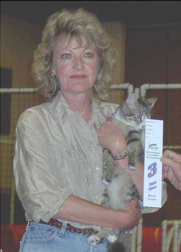 ThirdplaceKitten