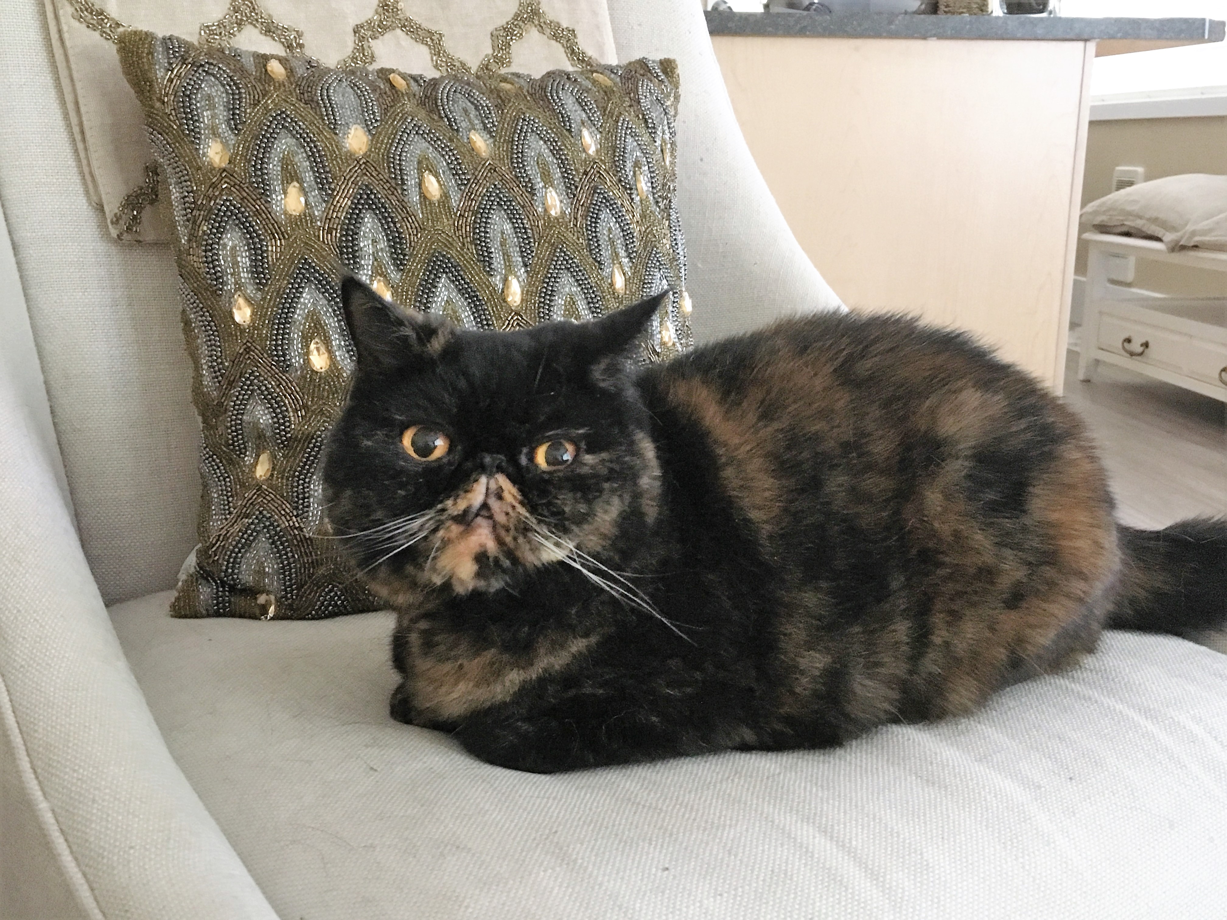 Sophie