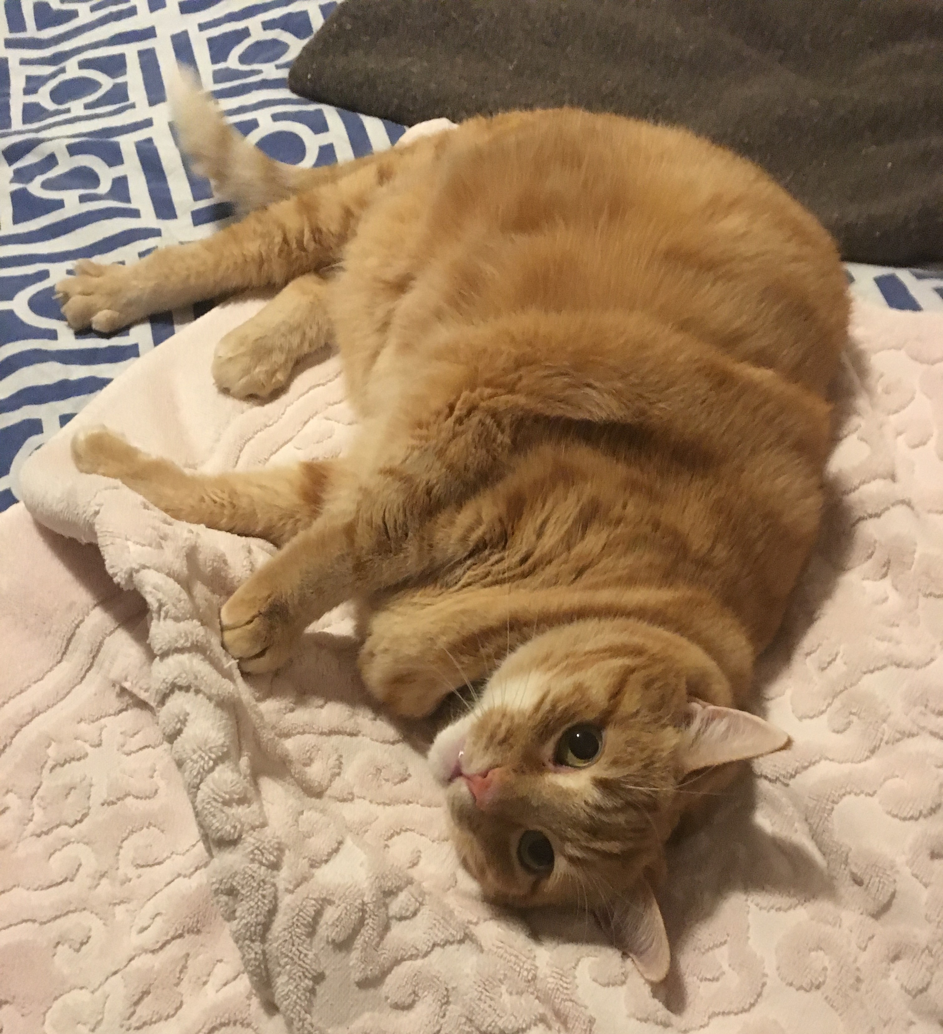George