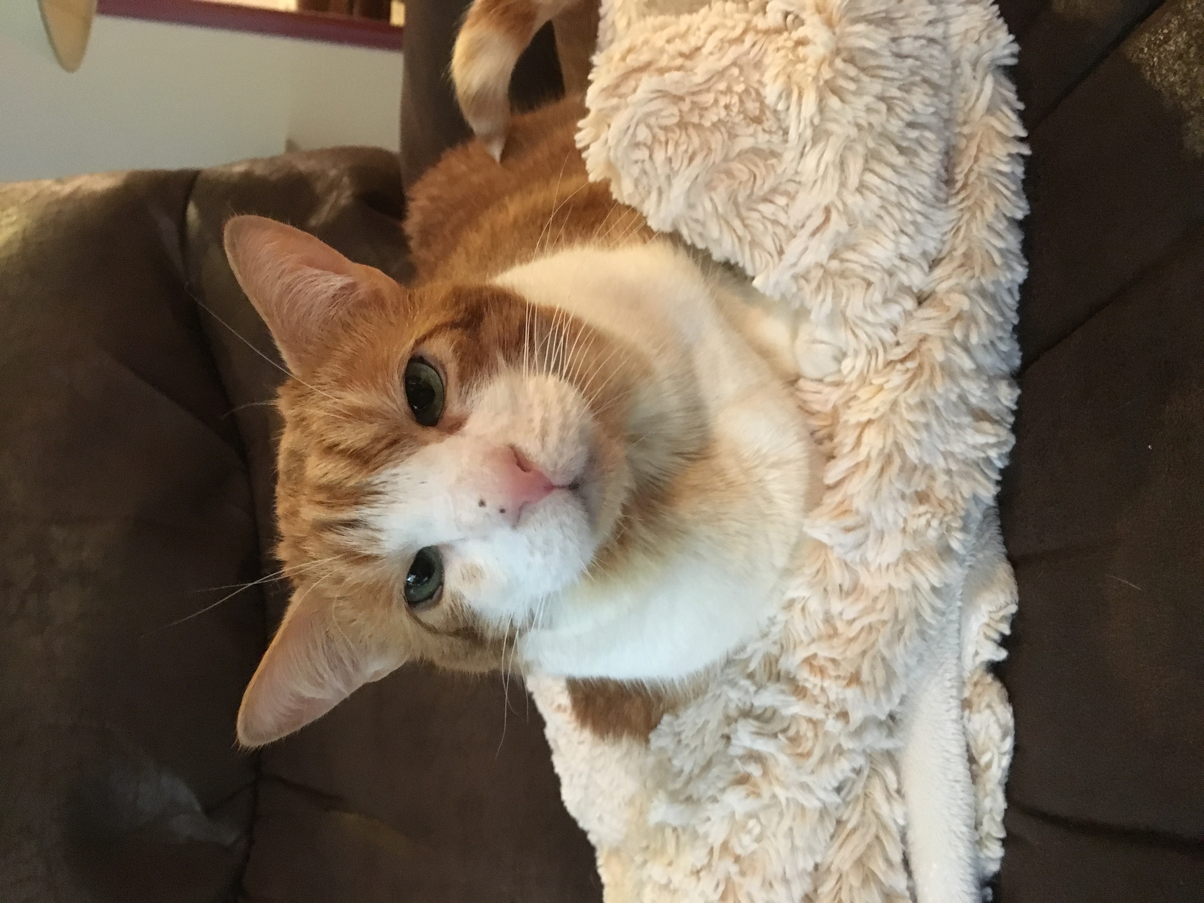 Charlie