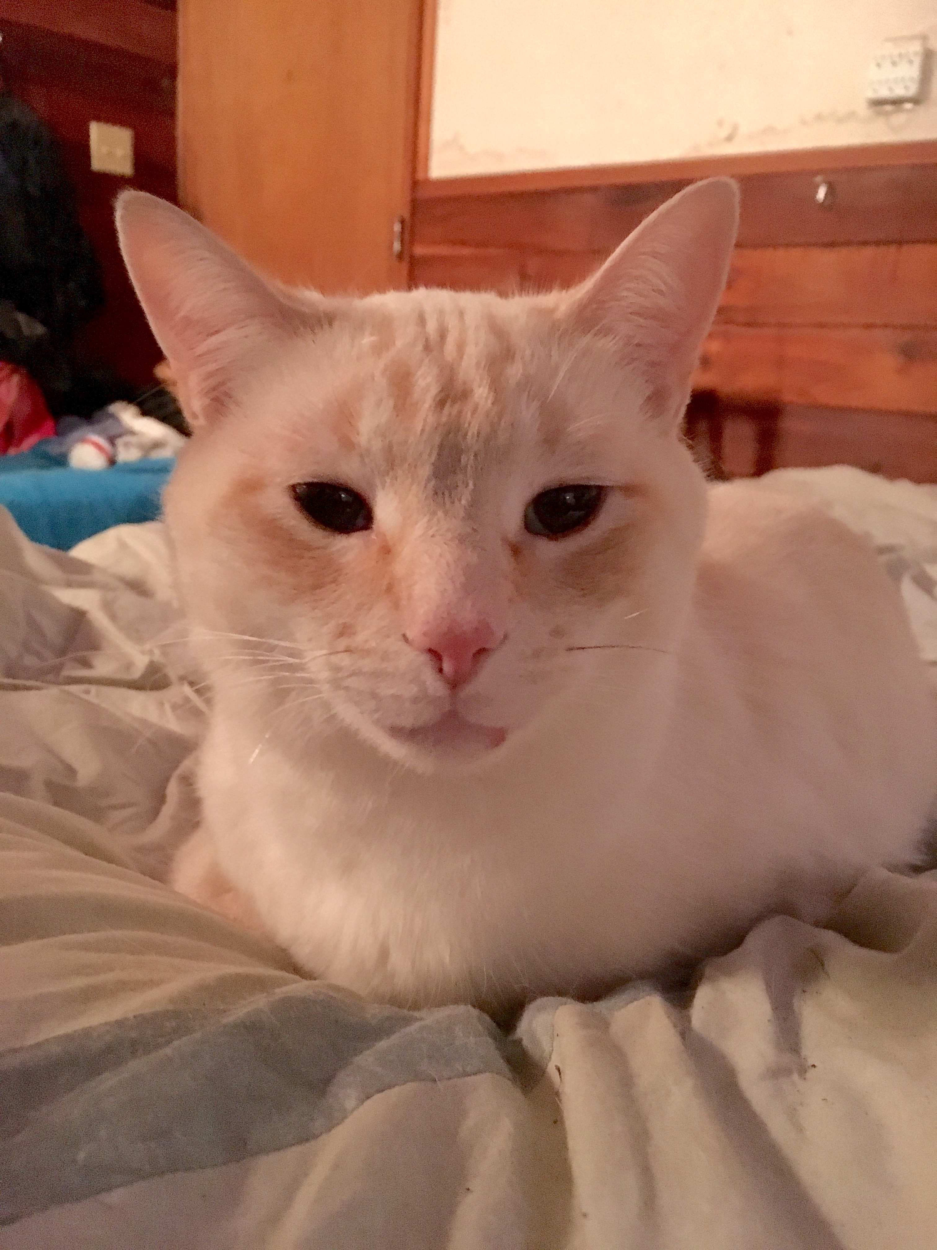 Einstein