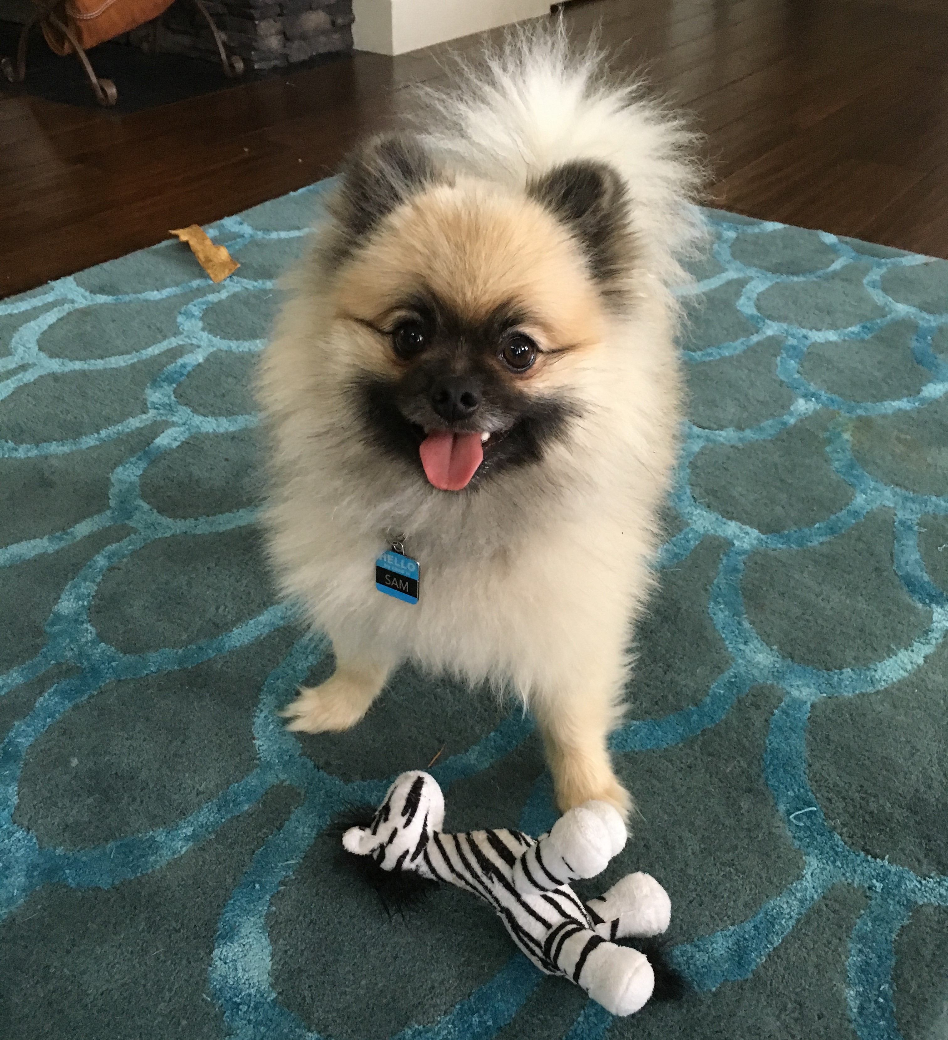Sam
