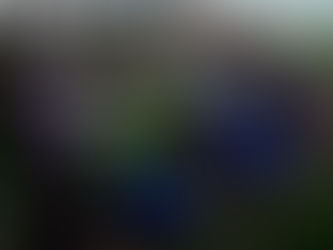 Design in times of crisis