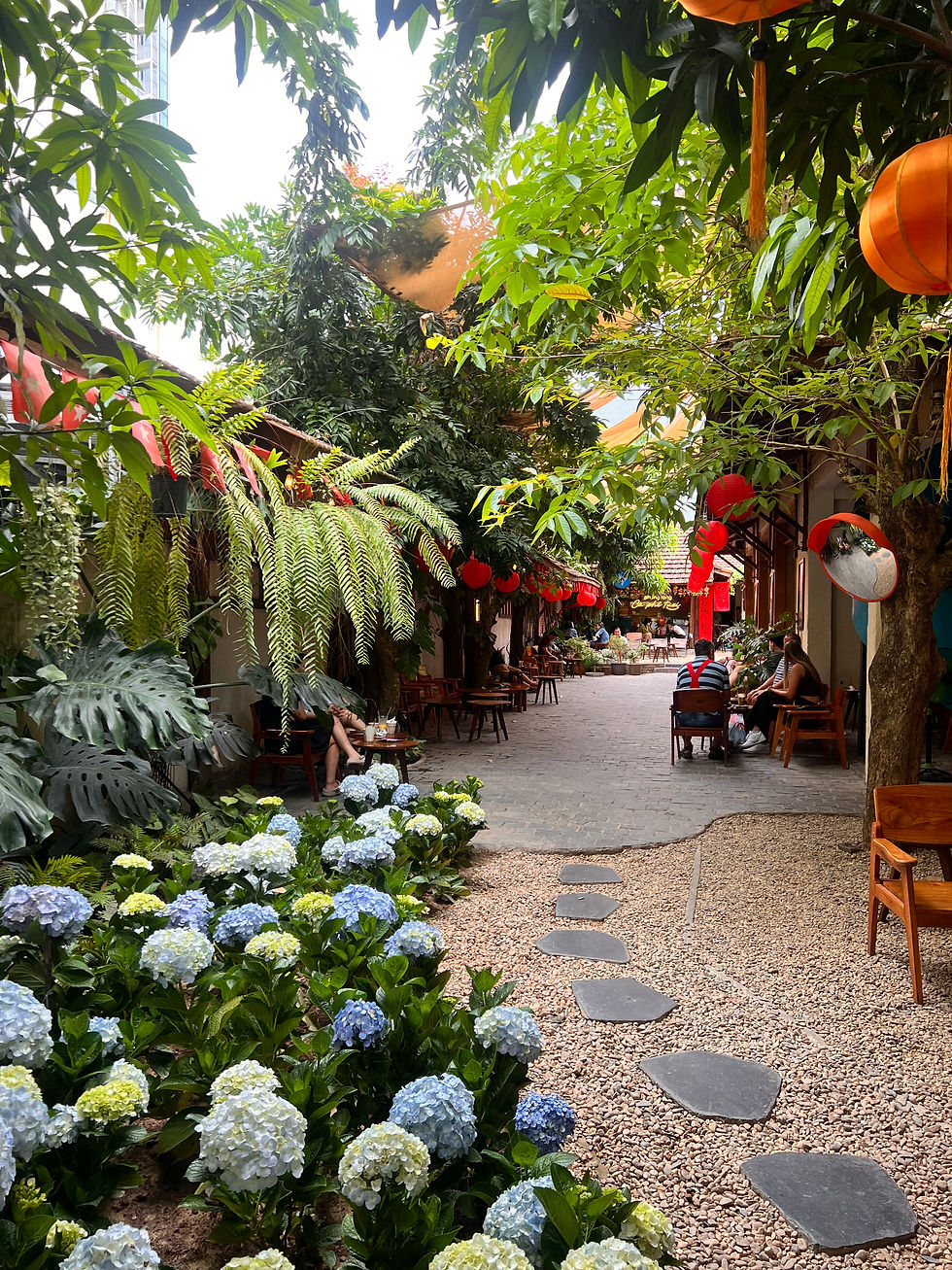 Flowers blooming and beautiful plants at a cafe in Danang, Vietnam