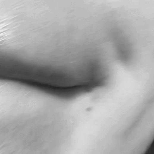 IMG_6304 (3) (1).gif