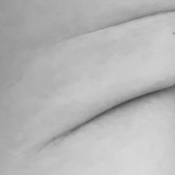 Hnet.com-image (4).gif