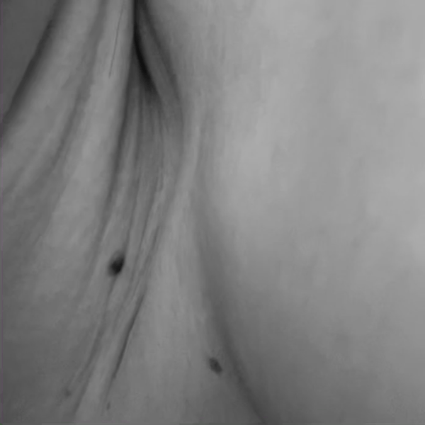 Hnet.com-image (3).gif