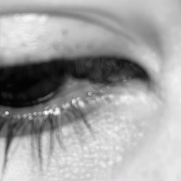 Hnet.com-image (1).gif