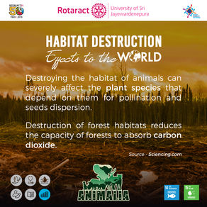 EFFECTS OF THE HABITAT DESTRUCTION TO THE WORLD