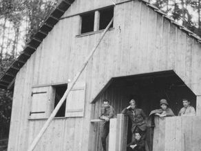 BRANDSTIFTUNG IM ENTLISBERG