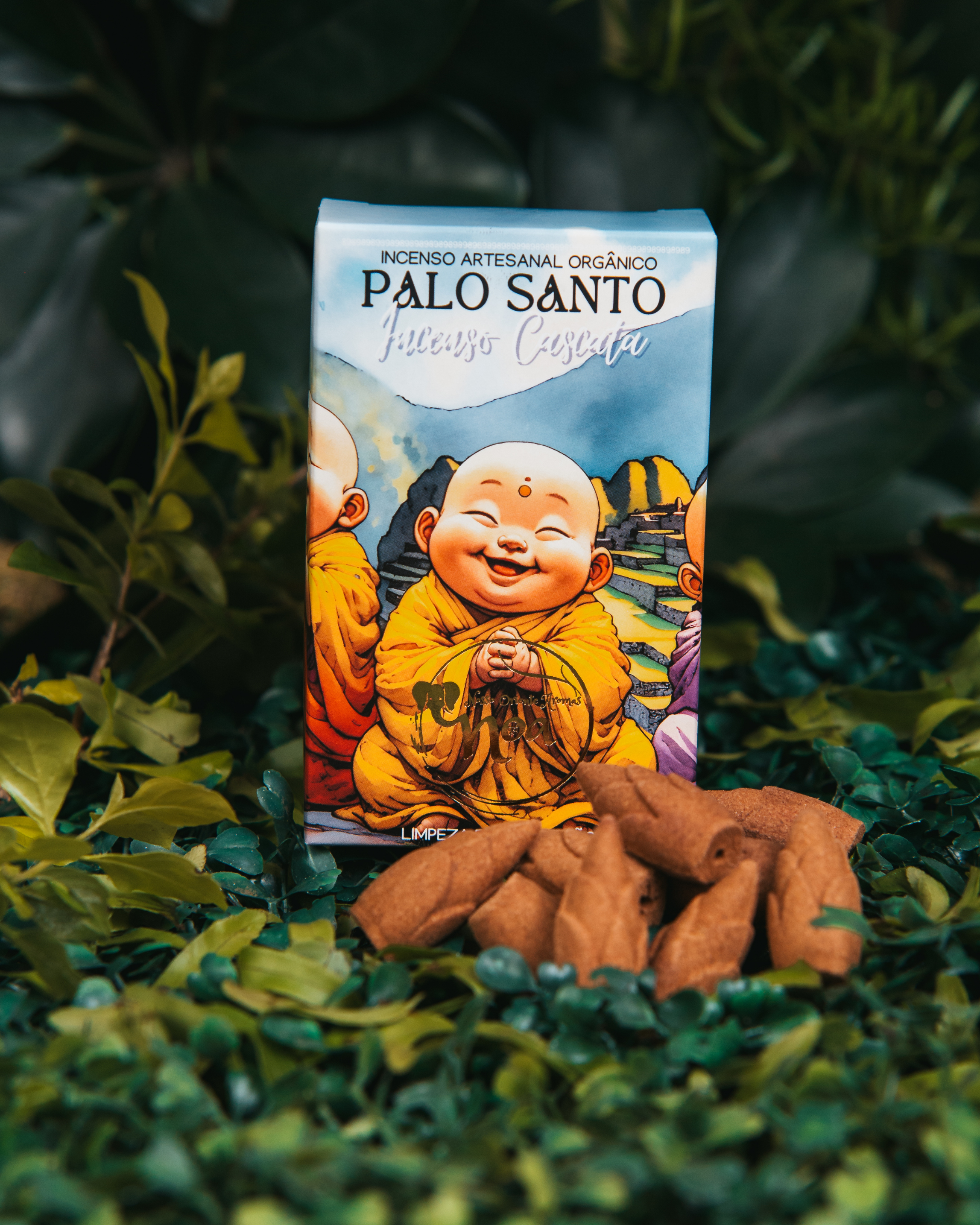 PALO SANTO