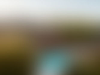 Disney's Grand California Hotel & Spa, Disneyland 