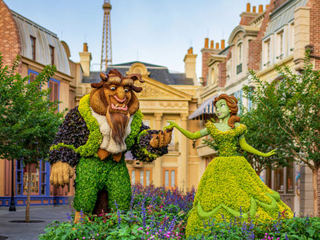 Explore Disney World’s Seasonal Events & When to Go