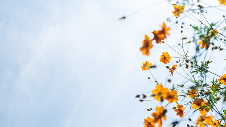 SELF-HELP STRATEGIES TO IMPROVE EMOTION REGULATION AFTER TRAUMA
