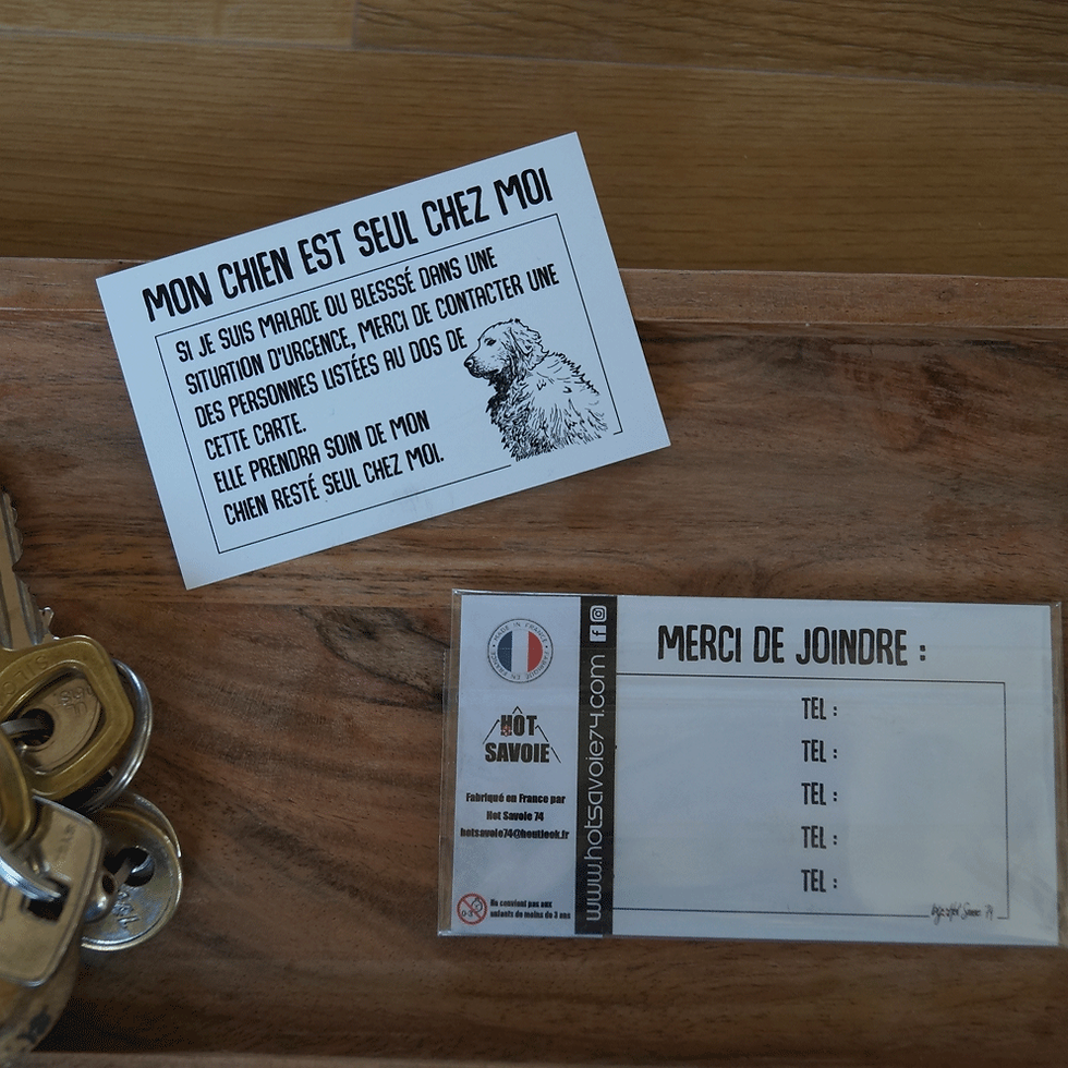 Miniature : Carte d'urgence | Mon chien/chat est seul | Accessoire chien |