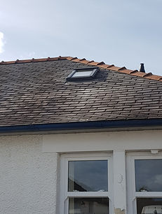 20190905_161413[1775].jpg