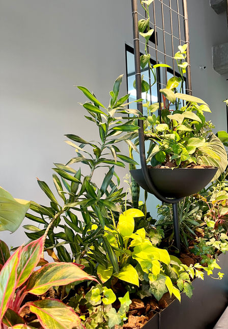 DiseñoArquitectónico, Interiorismo y Construcción